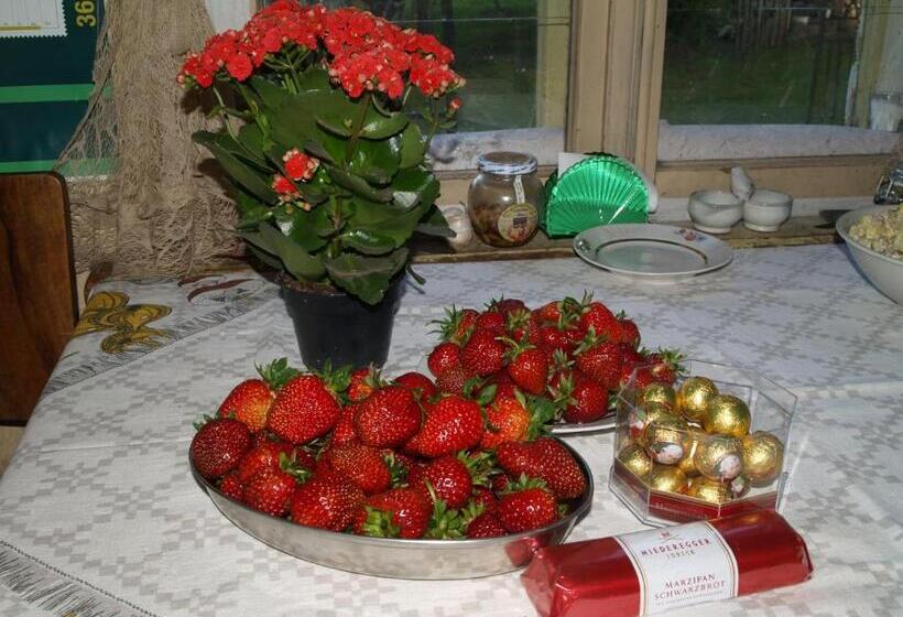 هتل Saule