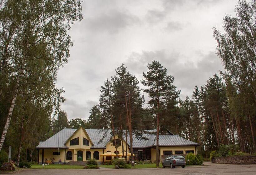 Motel Brencis