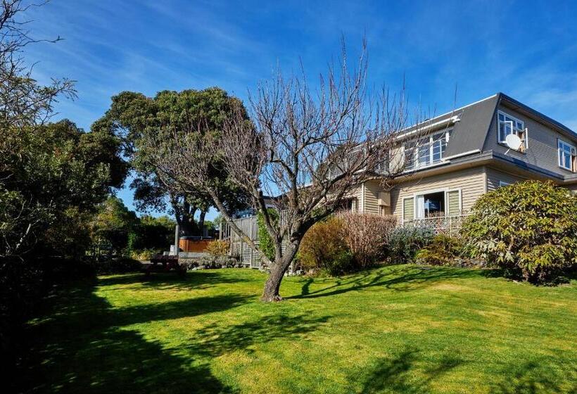 هاستل Dolphin Lodge