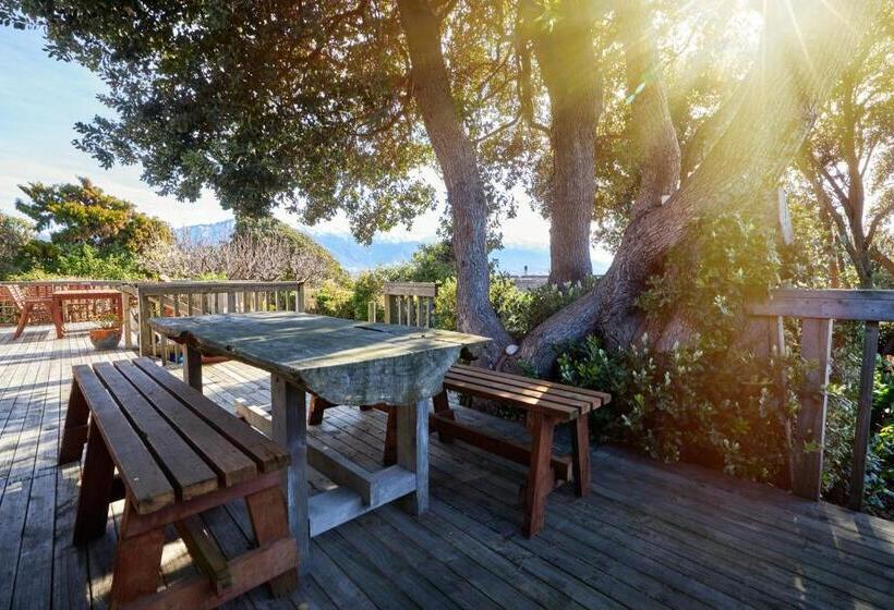 هاستل Dolphin Lodge