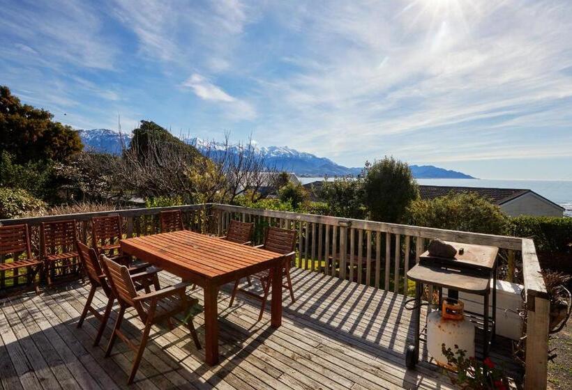 هاستل Dolphin Lodge