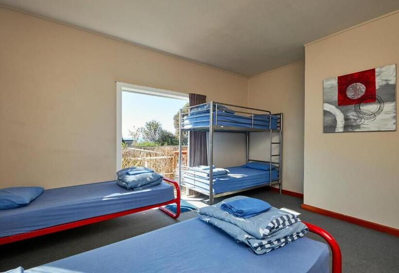 هاستل Dolphin Lodge