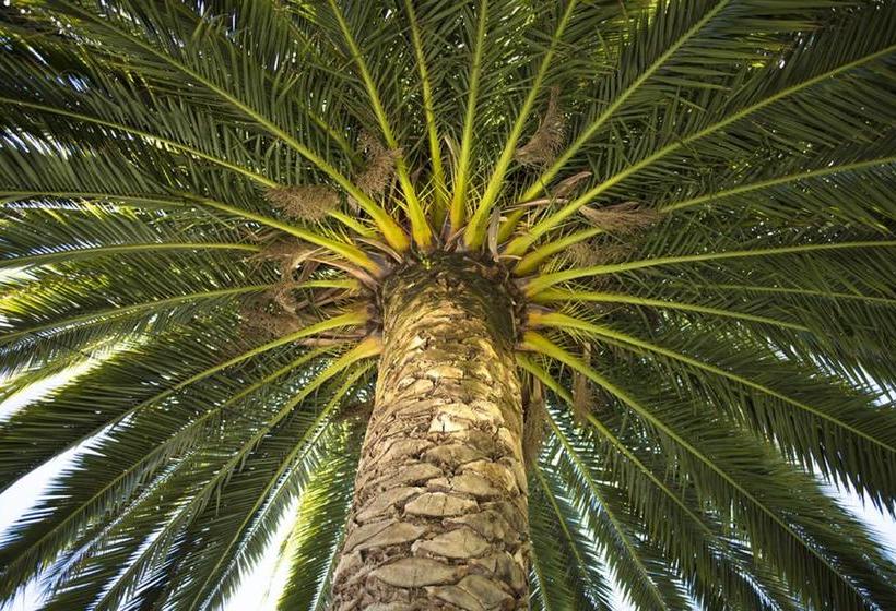 Botanica Bed And Breakfast