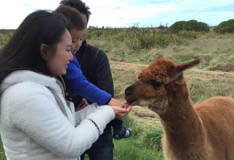 تختخواب و صبحانه Misty River Retreat