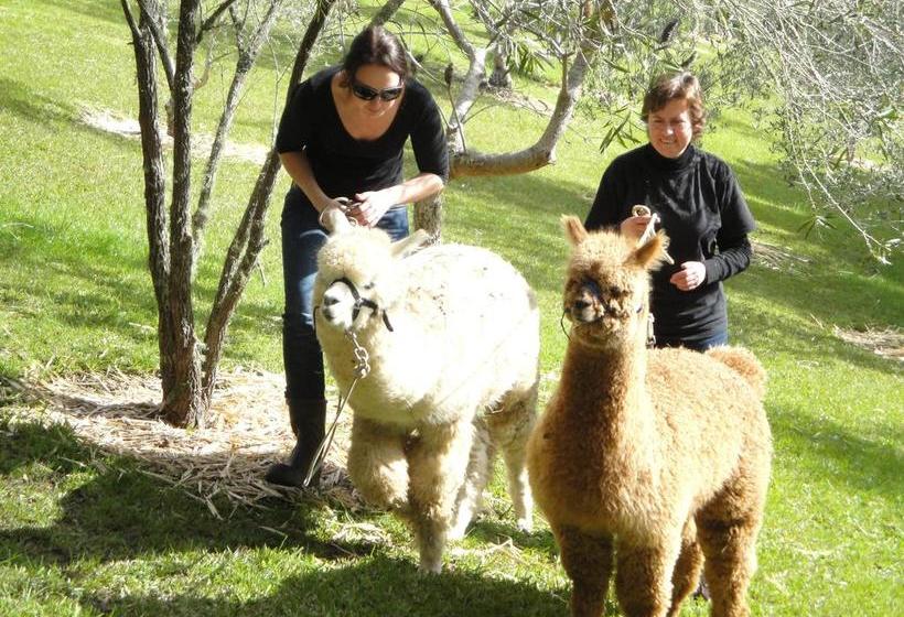 تختخواب و صبحانه Riverside Homestead