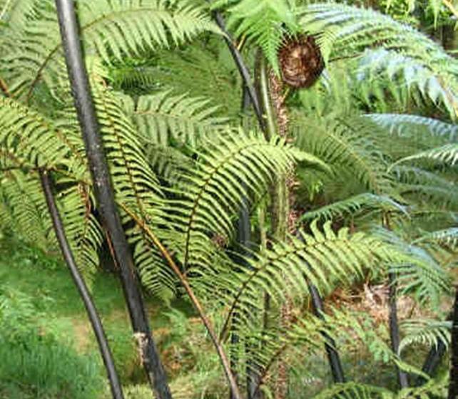 تختخواب و صبحانه Riverside Homestead