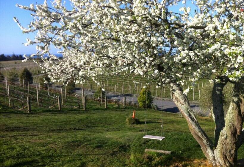 צימר Pine Hill Lodge