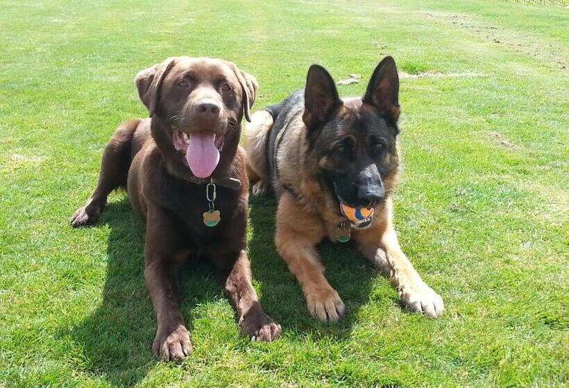 צימר Pine Hill Lodge