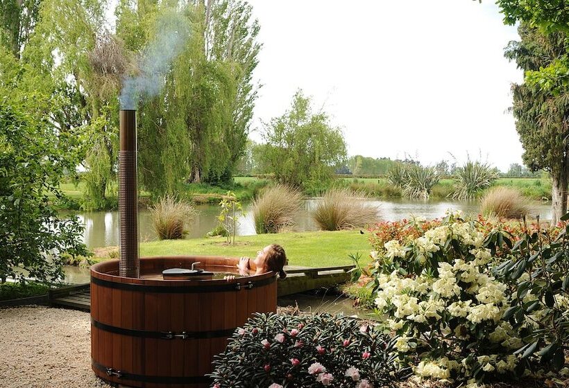 تختخواب و صبحانه Revive On Oakview Boutique Accommodation And Spa