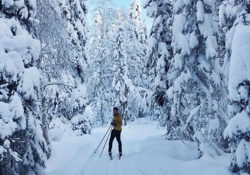 هتل L åre Fjällsätra