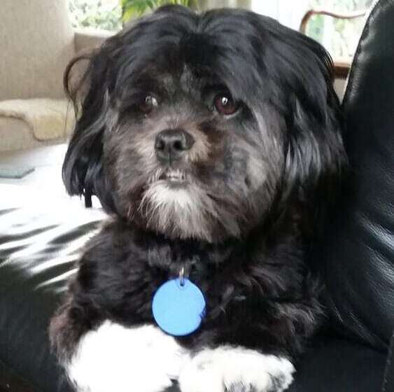 Olive House Bed And Breakfast