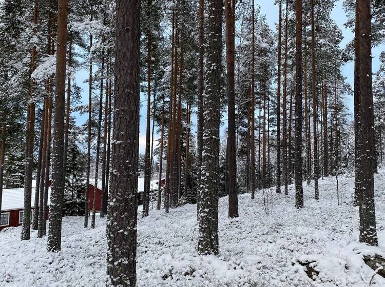 استراحتگاه L Moskogen