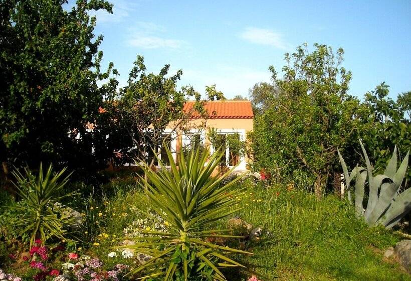 مبيت وإفطار Casa Spa D Alma