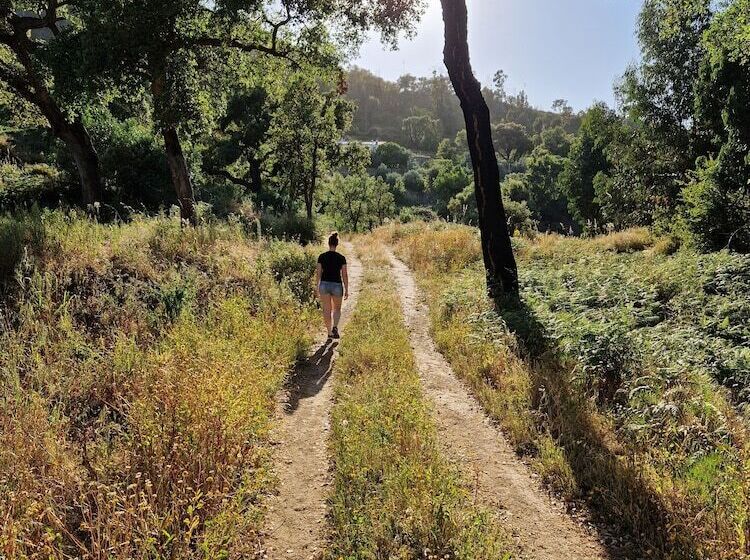 مبيت وإفطار Casa Spa D Alma