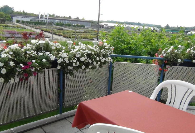 مبيت وإفطار Haus Erika Am Weg