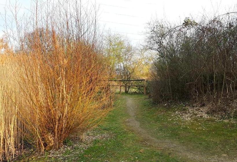 צימר Mybednbreakfast In Bottmingen