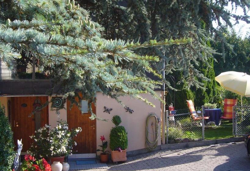 مبيت وإفطار Reni S Oase Am Bodensee