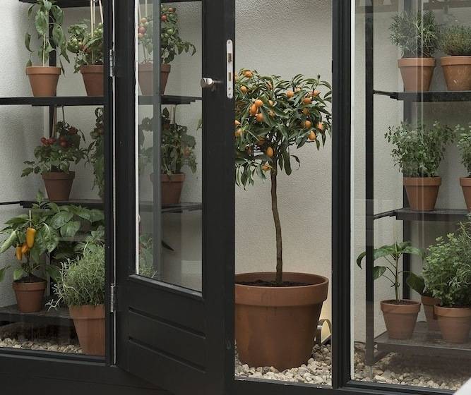 هتل Blue Inspired By Manna