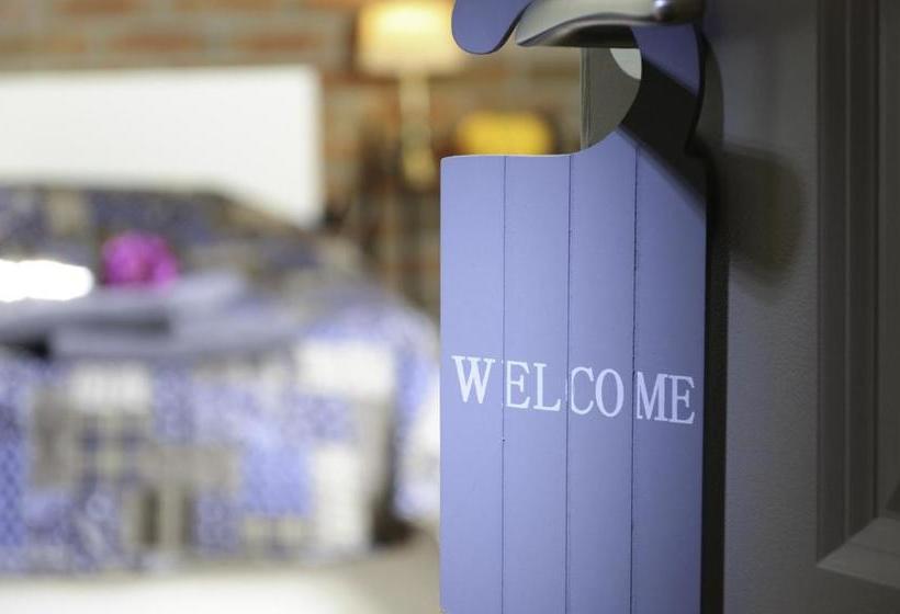 B&b Op Stok
