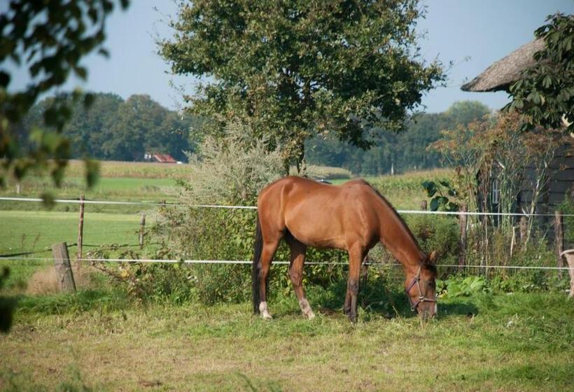 مبيت وإفطار De Bolderie