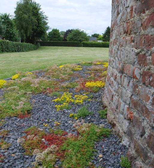 Bed And Breakfast De Meule Montfort