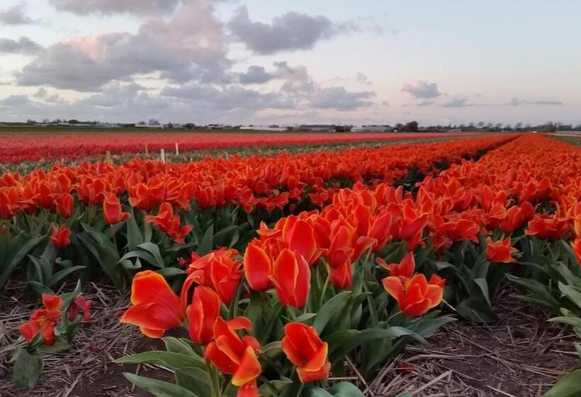 Bed and Breakfast Logement Hellevoetsluis