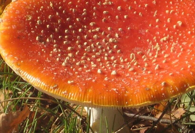 ベッドアンドブレックファースト Zeeland Aan Zee