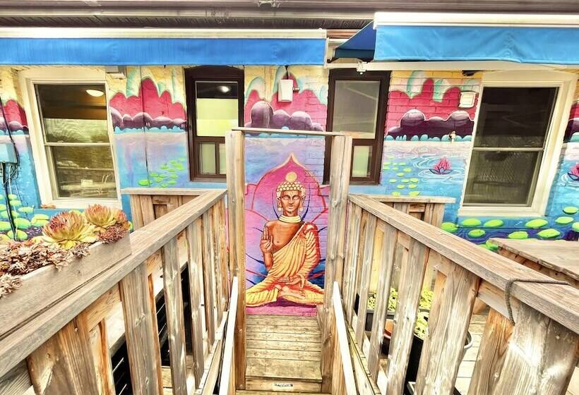 فندق صغير The Only Backpacker S Inn