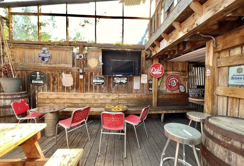 فندق صغير The Only Backpacker S Inn