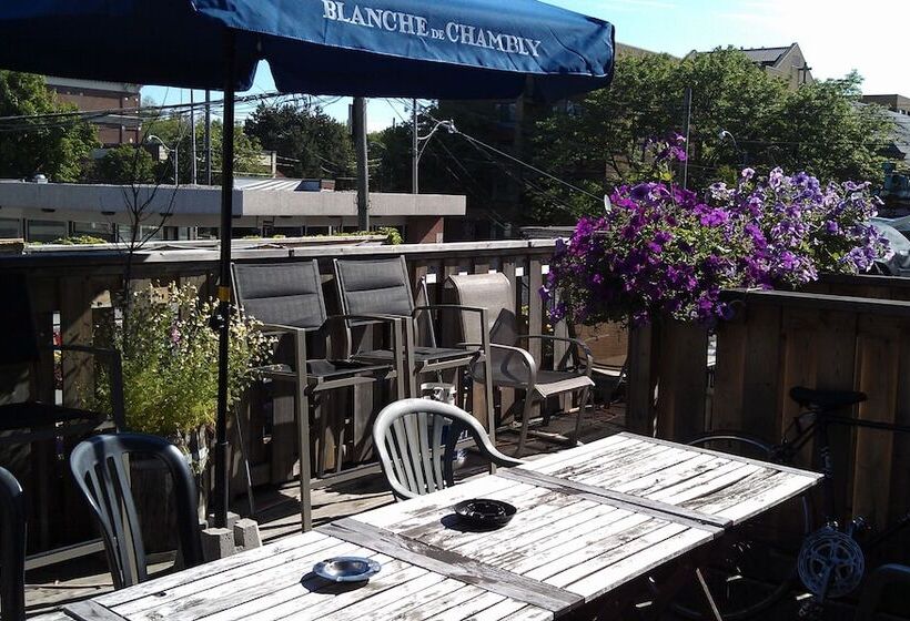 فندق صغير The Only Backpacker S Inn