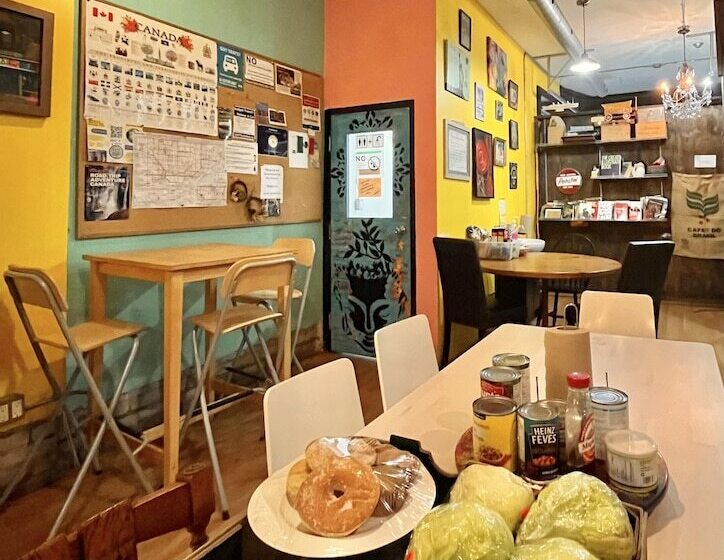 فندق صغير The Only Backpacker S Inn