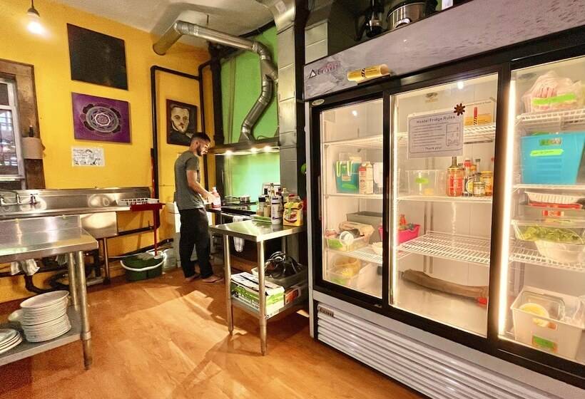 فندق صغير The Only Backpacker S Inn