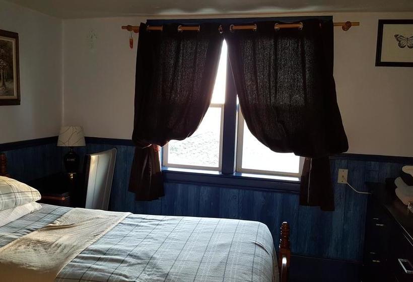 تختخواب و صبحانه Nisku Guest House