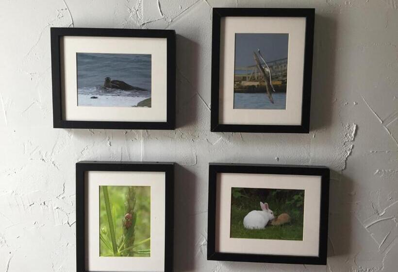 Hi Vancouver Jericho Beach   Hostel