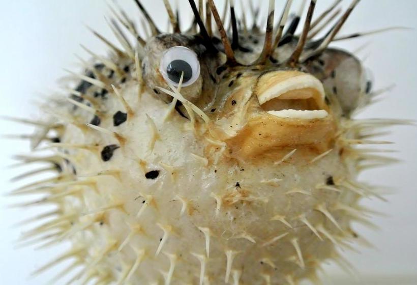 فندق B&b Altijd Wad