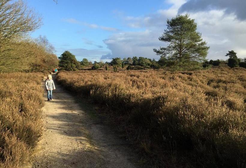 בית מלון כפרי Grotenend