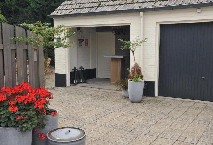 هتل Het Anker
