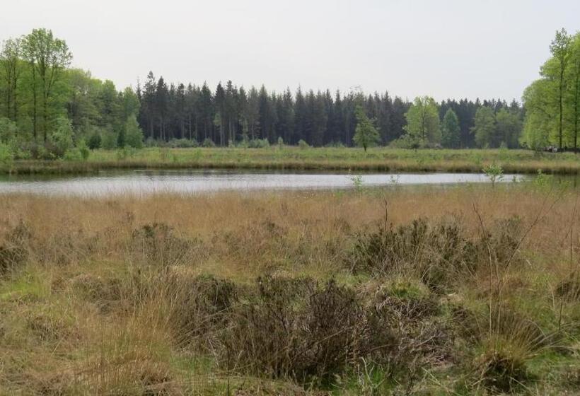 ホテル T Zwanemeer