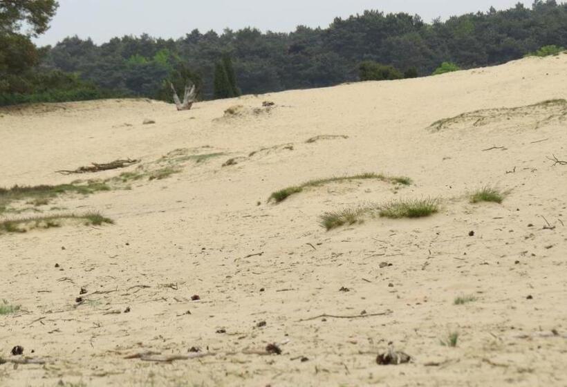 ホテル T Zwanemeer