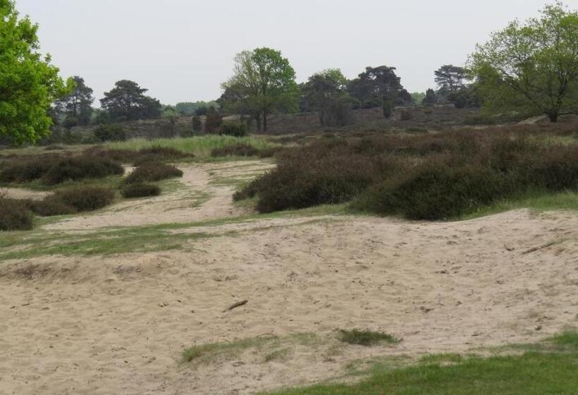 ホテル T Zwanemeer