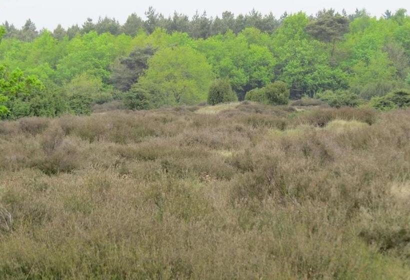 ホテル T Zwanemeer