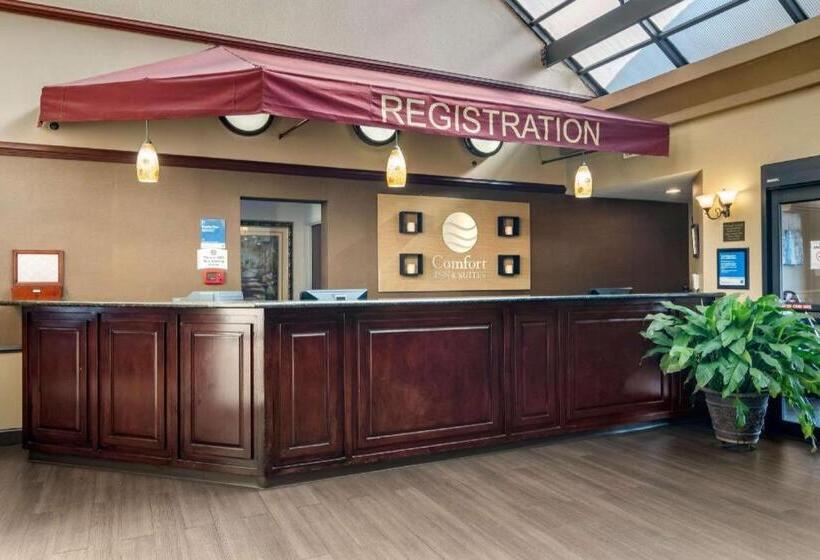 호텔 Comfort Inn & Suites Suwanee   Sugarloaf