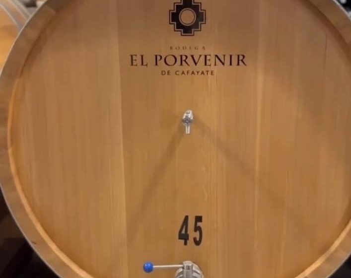 هتل El Porvenir Wine Lodge