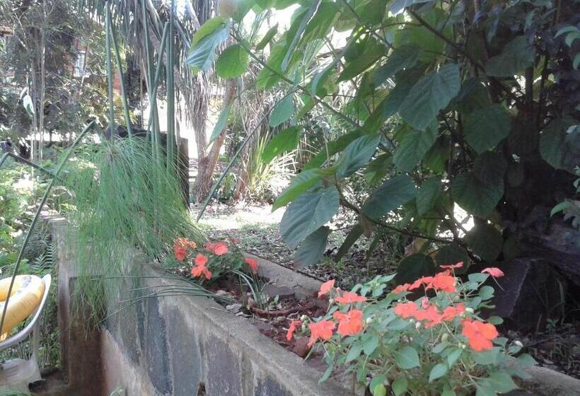 هاستل Cabañas Sueño Azul