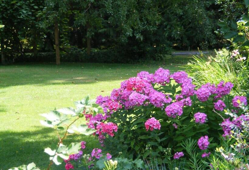 مبيت وإفطار Hummingbird Guesthouse