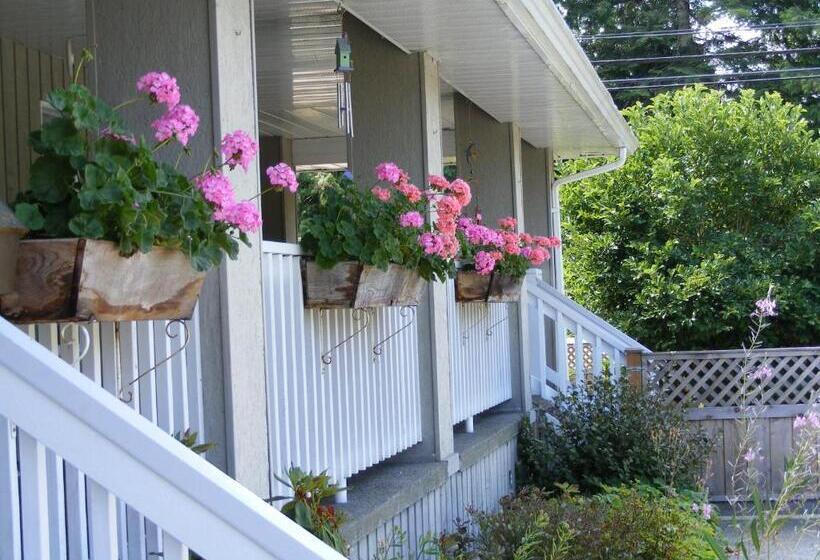 مبيت وإفطار Hummingbird Guesthouse