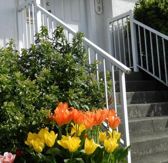 تختخواب و صبحانه Serenity