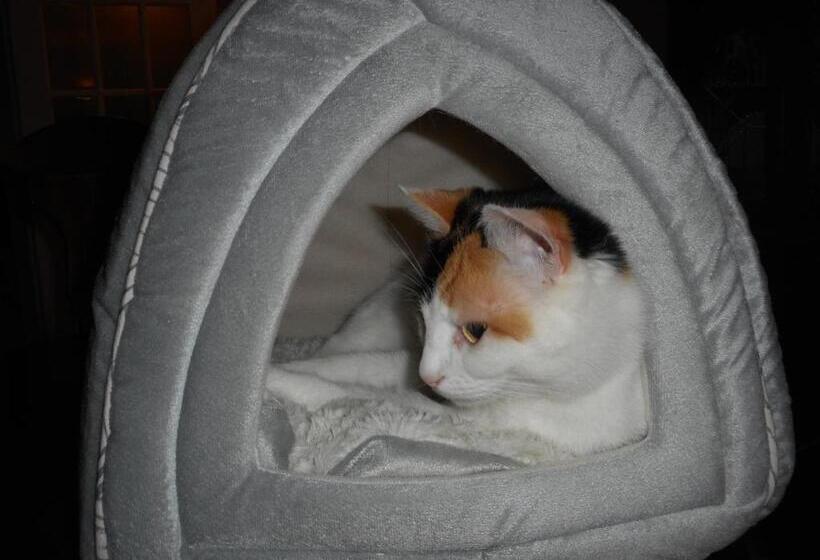 Cote S Bed & Breakfast