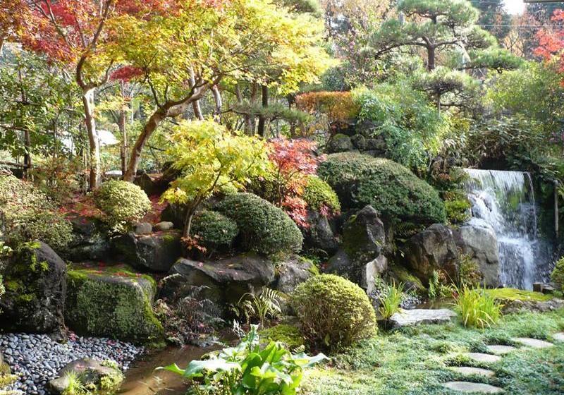 ריוקאן Wakatake