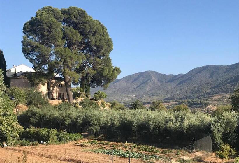 צימר Cortijo El Pino Retreat